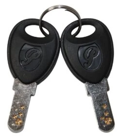 Flyer / Panasonic E-Bike Ersatzschlüssel Ab 2007 - 1 Paar